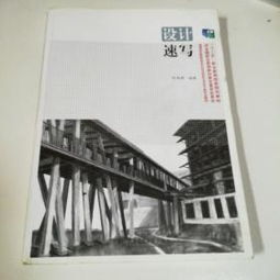圖書(shū)設(shè)計(jì)速寫 從構(gòu)思到呈現(xiàn)的藝術(shù)之旅